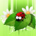    Angry Birds  3- 