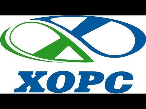 1. Бренд:Хорс-Силикон