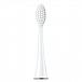  CS Medica SonicPulsar SP-31 White  CS-333, 2 