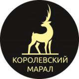 �����:����������� ����� (������)